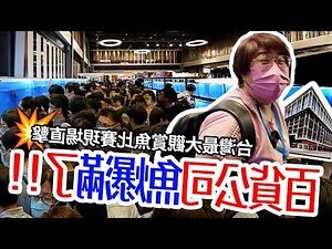 夢到好多魚