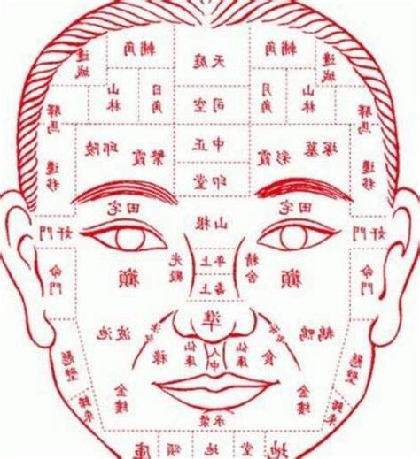面相診斷