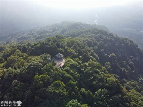 新竹大山背鬧鬼
