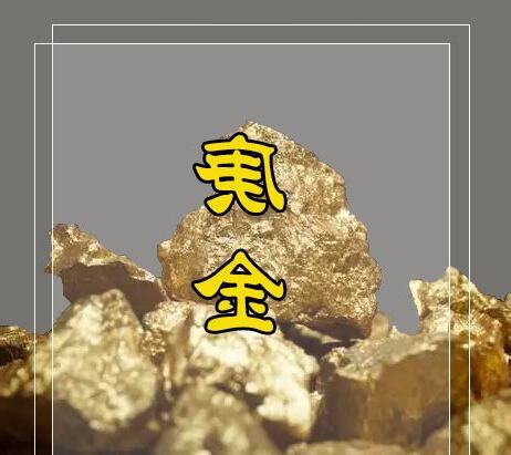 金代表