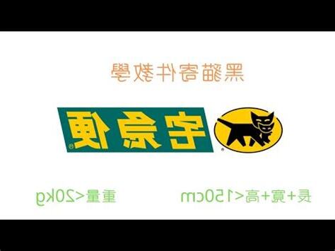 黑貓客服真人
