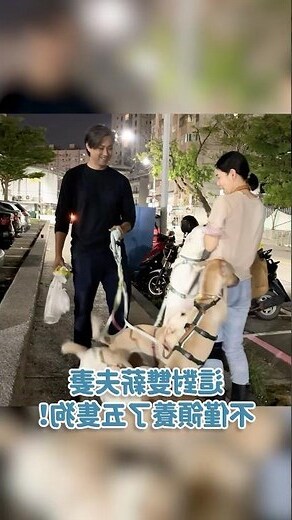 養五隻狗
