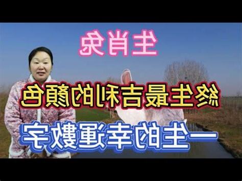 屬兔幸運數字