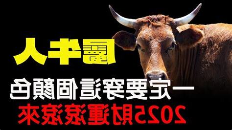 屬牛適合什麼顏色