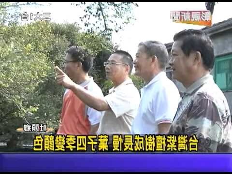 紫檀木功效