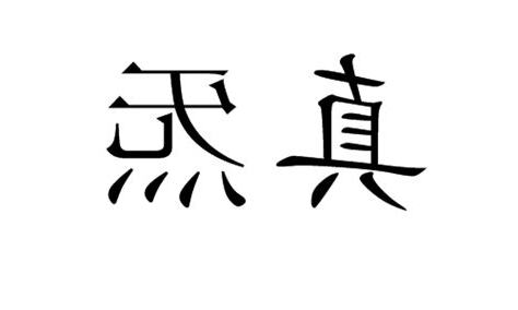 真炁意思