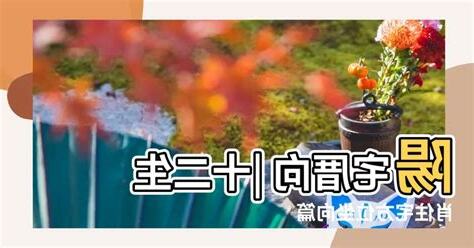 生肖買房方位