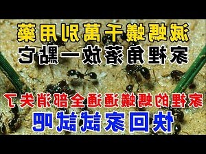 家裡放刀劍