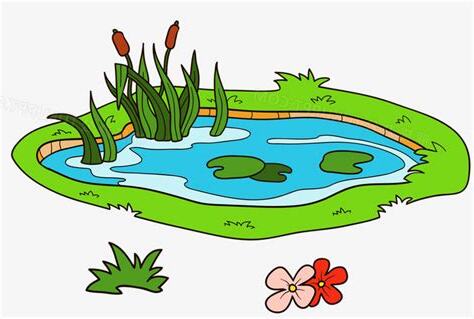 池塘怎麼畫