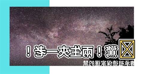兩生夾一老