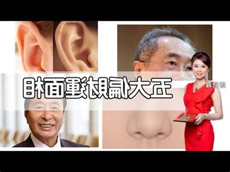 豬鼻面相