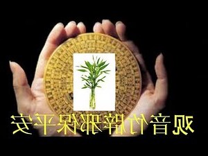 风水竹
