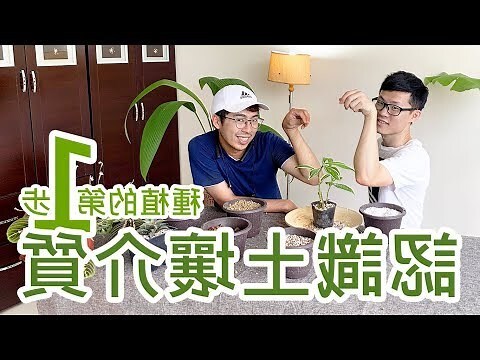 喜歡分幾種