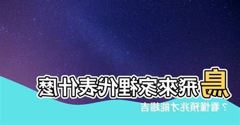 鳥飛來家裡代表