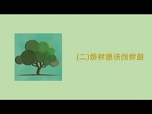 樹木名稱