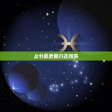 花的五行