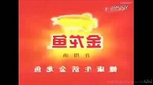 2000年金龙