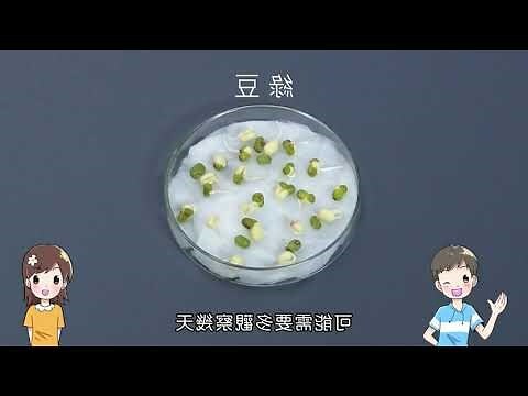 夢見植物生長