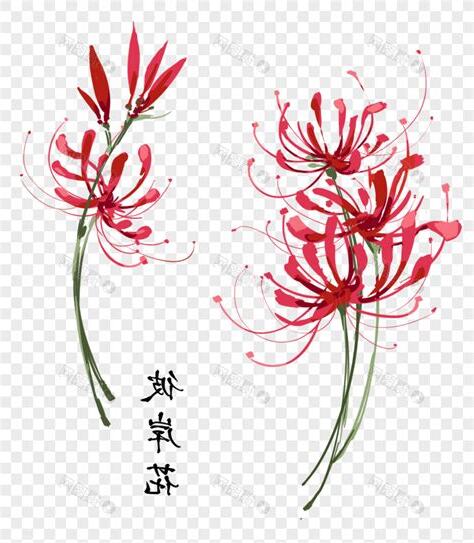 彼岸花圖
