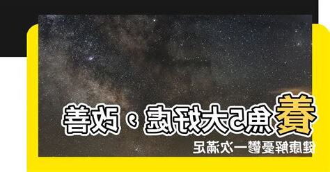 養魚的好處