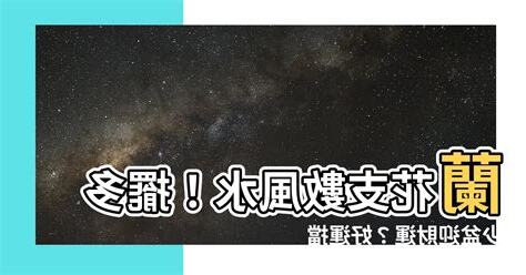 蘭花支數風水