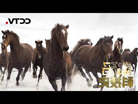2014年是什么马