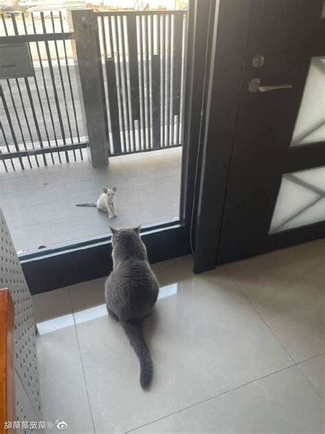 把日光擋在屋外
