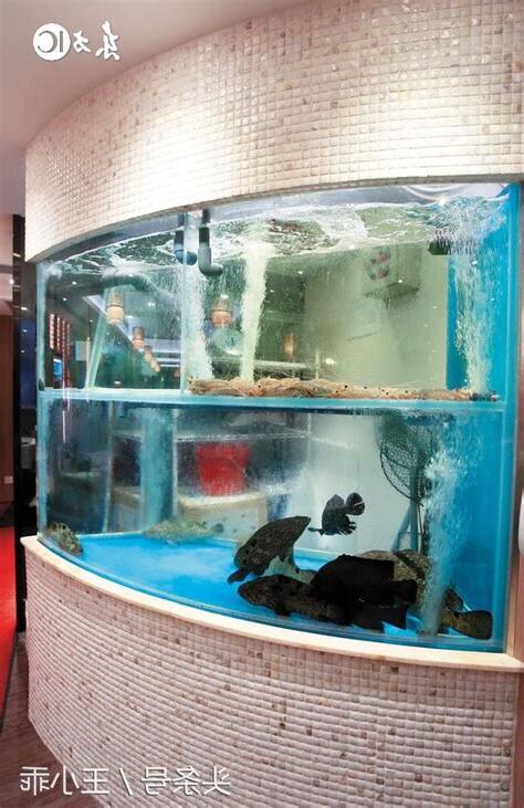 魚缸選擇