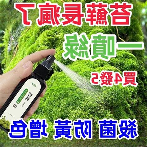 苔蘚發黴