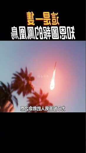 鳳凰存在嗎