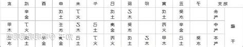 巳藏支