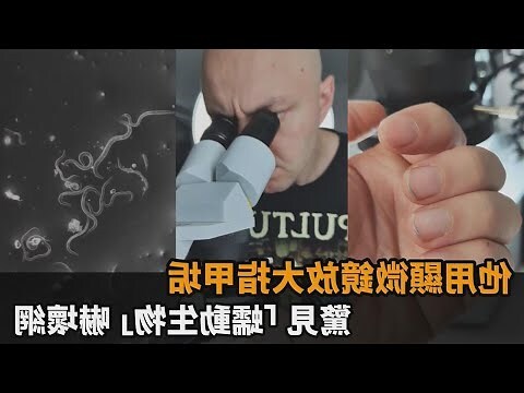 世界上指甲最短的人