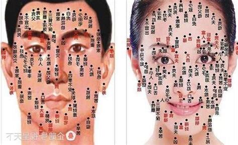 面墨痣圖