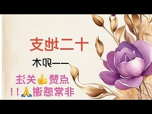 地支卯怎麼看