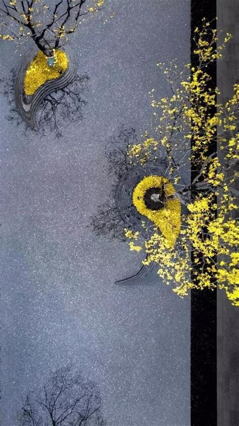 婆娑樹