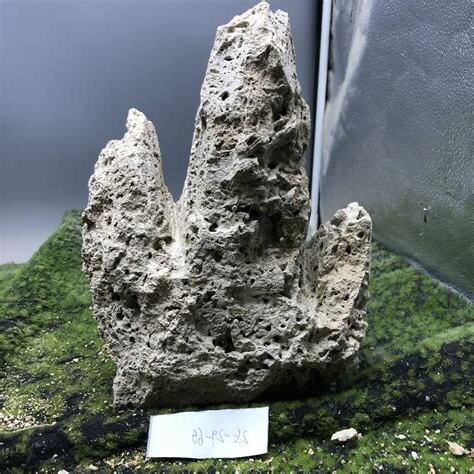 吸水石