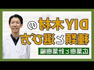 木型女
