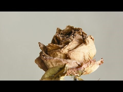 假花怎麼處理