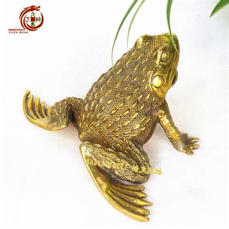 金蟾蜍放房間