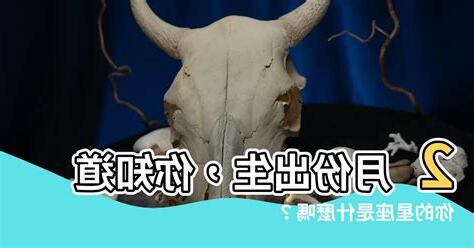 2月份是什麼星座