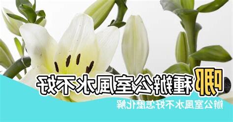 公司風水不好
