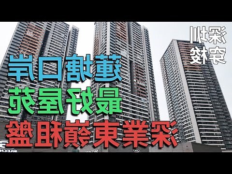 蓮塘口岸租盤