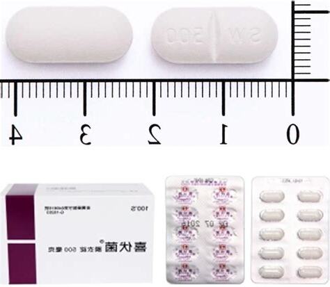 喜伏菌飯前