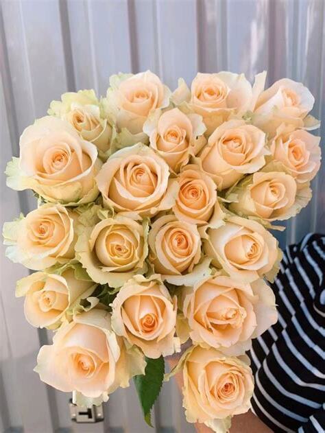 真花