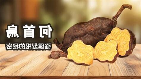 何首烏是什麼