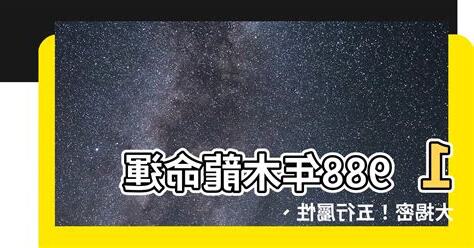 1988木龍