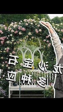 常綠爬藤植物