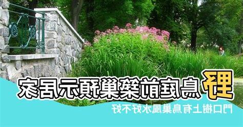 門口有鳥巢