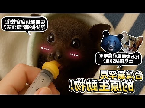 養小動物