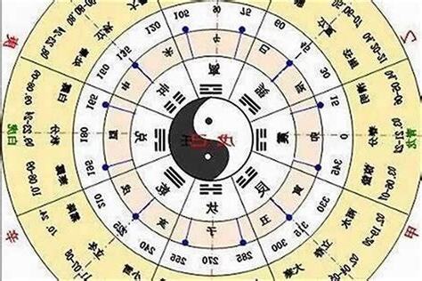 1975年五行属什么